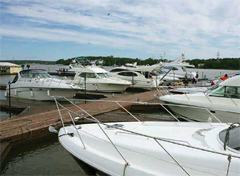 ���� ������� ������������