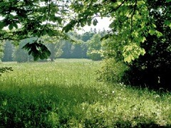 �������� �������������