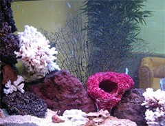 ��������� ������������