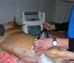 ������������ ������� ������������